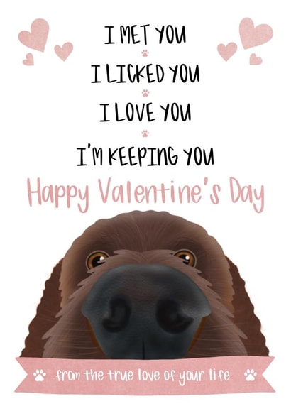 Valentine's Card from the Dog created by The Merry Giraffe