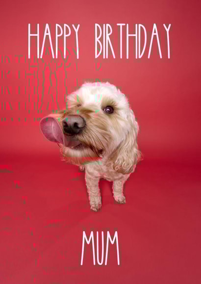Happy Birthday Mum Cockapoo Greetings Card created by The Yorkshire Pawtrait Co.