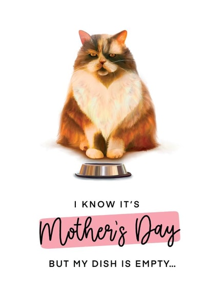 Funny Mothers Day Card - Mum - Cat - I Know It's Mother's Day But My Dish Is Empty created by Hot Dog greetings