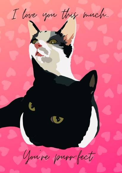 Kitty cuddle Valentine's Day created by kerilizmon
