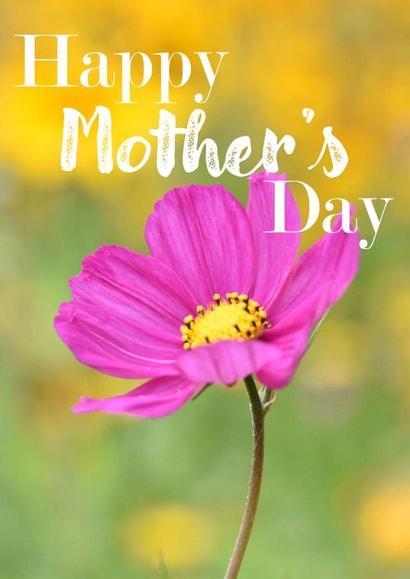 Mother's Day Card 1000 created by R.McNally Photography