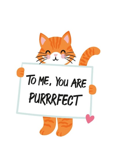 To Me, You Are Perfect - Valentine's Day Card - Cats - Pun - Love Actually created by Gheetings Cards