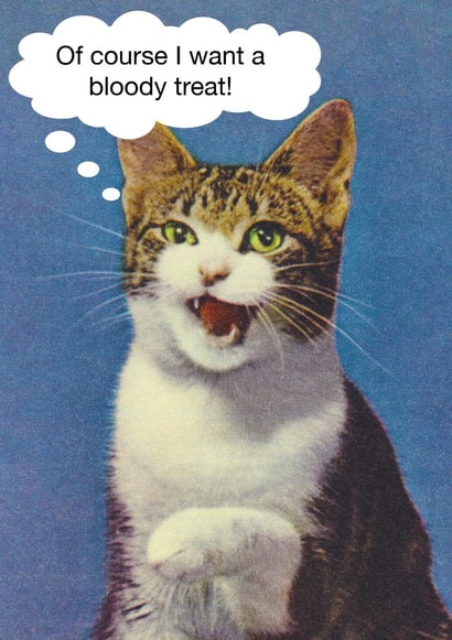 Funny Cat Wants a bloody treat card created by kissmekwik
