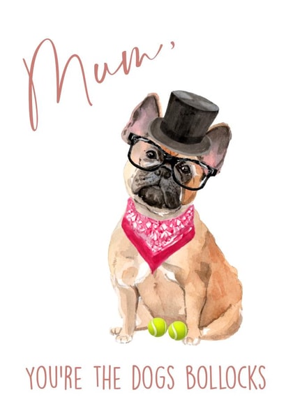 Mum, you’re the dogs bollocks! created by 25Seven