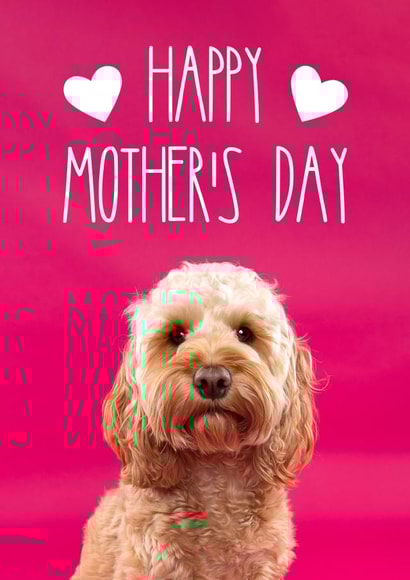 Cute Mothers Day Card - From The Dog - Cockapoo - Happy Mother's Day created by The Yorkshire Pawtrait Co.