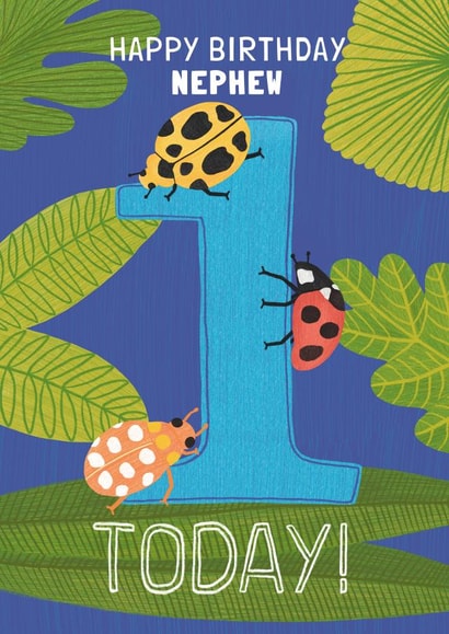 Ladybird Nephew 1st Birthday card created by Made by Burbs