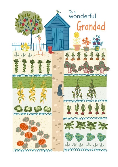 To a Wonderful Grandad, cheerful allotment garden created by Ally Marie Illustration