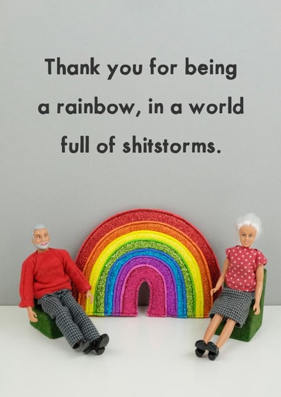 Rude Rainbow Thank You Card / Valentines Day Card / Annoversary Card - Figurines - Rainbow - Thank You For Being A Rainbow, In A World Full Of Shitstorms created by Bold & Bright Cards