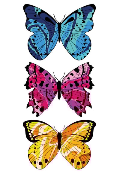 Butterfly Trio created by Pink & Peach