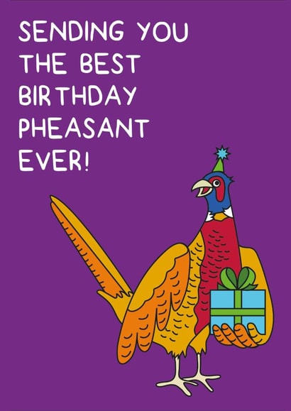 Sending you the best birthday phesant ever! created by Holly Tillier