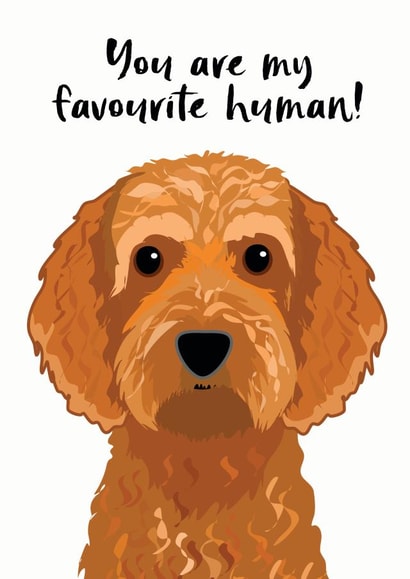 Favourite Human Cockapoo Card created by Hoobynoo