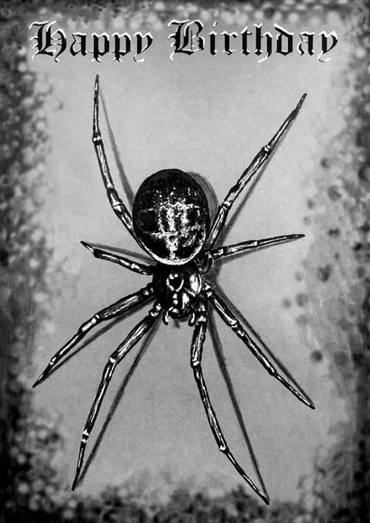 Spider Birthday Card. Gothic. Emo. Heavy Metal. Rock. created by Wild Natured