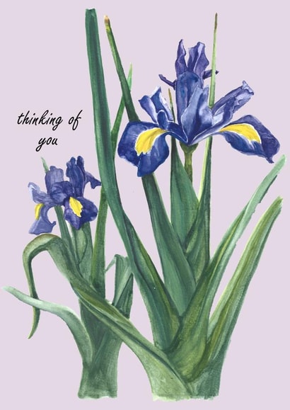 Thinking of you floral created by Winifred & The Wolf