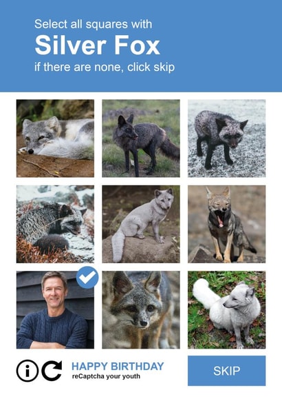 Funny Personalised Silver Fox Photo Card / Birthday Card - Select All The Squares With Silver Fox created by Paul Stevens