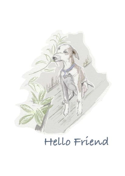 Cute puppy Thinking of you card - Hello Friend created by Kim Dakin