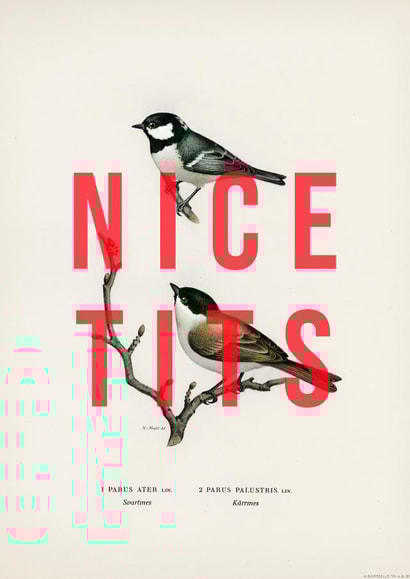 Nice Tits created by The 13 Prints