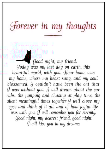 Cat sympathy card created by And Angels Kiss Their Fur