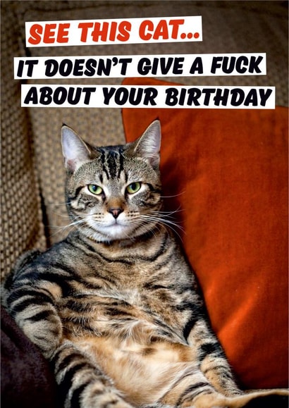 Rude Birthday Card - Cat - See This Cat It Doesn't Give A Fuck About Your Birthday created by Dean Morris Cards