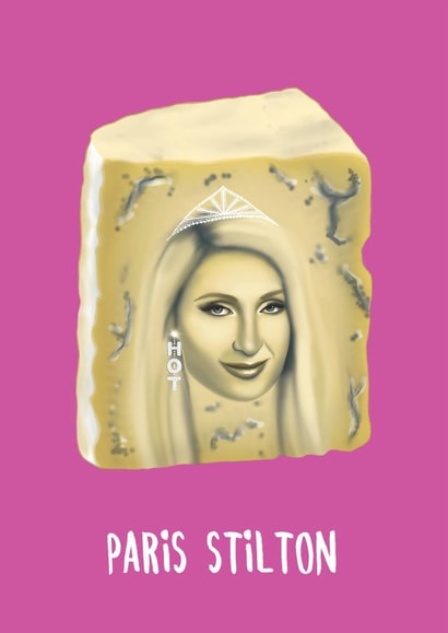 Paris Stilton Birthday Card created by Amy Illustrates