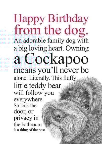 Funny Birthday Card From A Cockapoo Dog created by Coulson Macleod