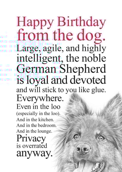 Funny Birthday Card From A German Shepherd Dog created by Coulson Macleod