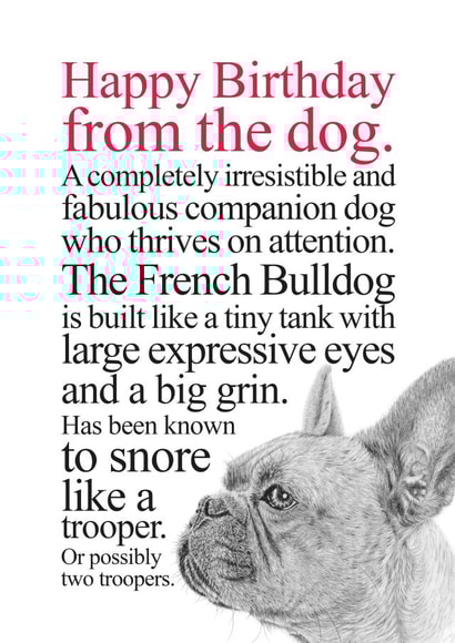 Funny Birthday Card From A French Bulldog created by Coulson Macleod