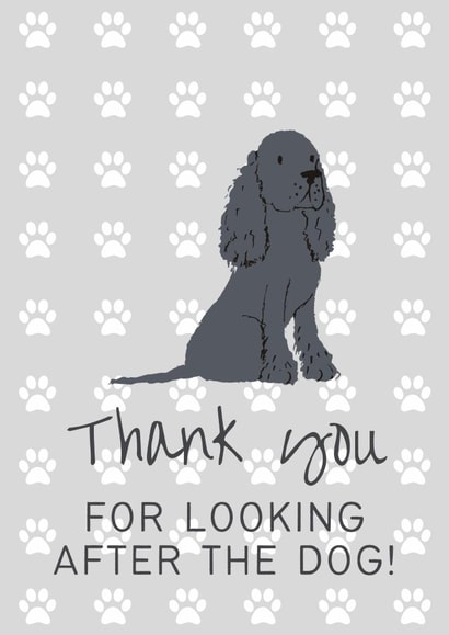 Thank you for looking after the dog - spaniel created by Sunshine in Design