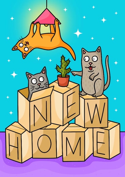 Cheeky cats and boxes - new home card for cat lovers created by Wafflemamaart