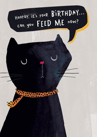 Cheeky cat birthday card created by iDrew Illustration