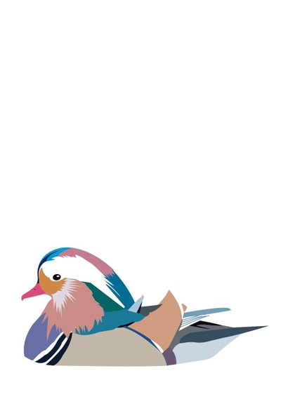 Mandarin Duck created by Jaypea Art