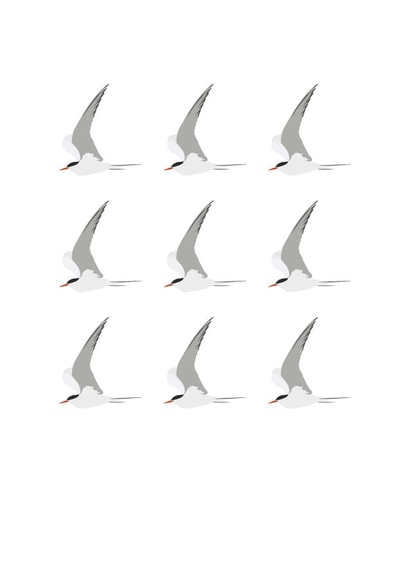 Tern Repeat created by Jaypea Art