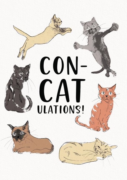 Cat Lovers Congratulations Card created by Jo Scott Art
