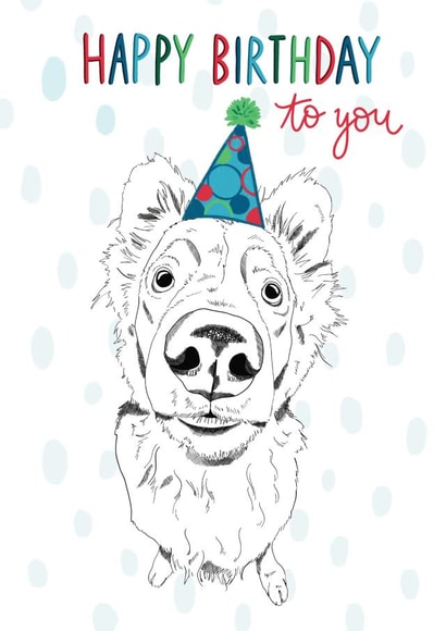 Border Collie Sheep Dog Birthday Card created by Bramble Designs