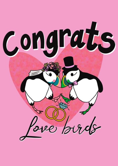 Mr and mrs puffin  created by Sarah Foll