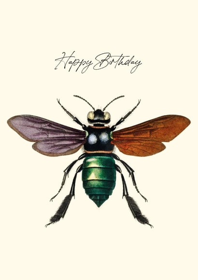 Painted fly birthday card created by Makers