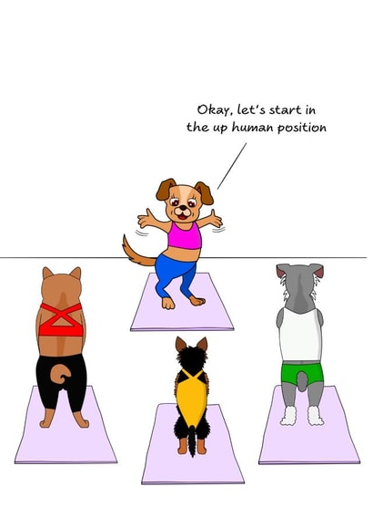 Funny Yoga Birthday Card - Dog Pilates Humour - Female Friend Mum Daughter created by Swizzoo