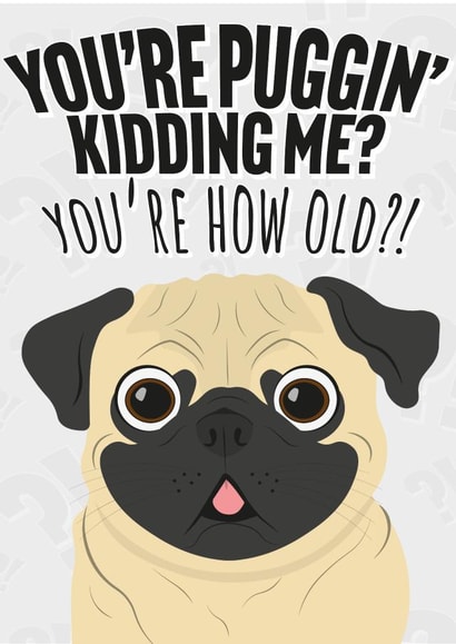 Funny Pug Pun Banter Birthday Card created by Cracking Cards!