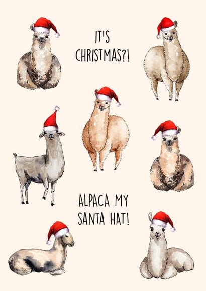 Cute Alpaca themed Christmas Card! Alpacas in santa hats! | thortful