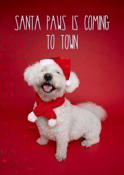 Santa Bichon Frise Cute Christmas Dog Card created by The Yorkshire Pawtrait Co.
