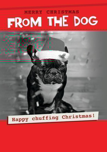 From the Dog Christmas Card- Happy Chuffing Christmas! created by Quitting Hollywood