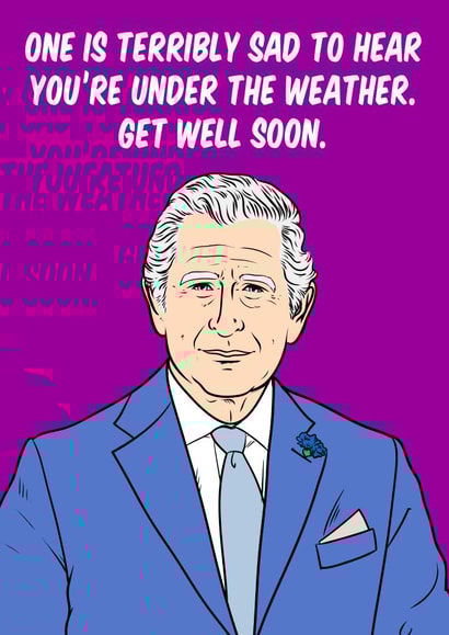 Funny get well soon greeting card for someone special featuring King Charles created by Graham Sanders