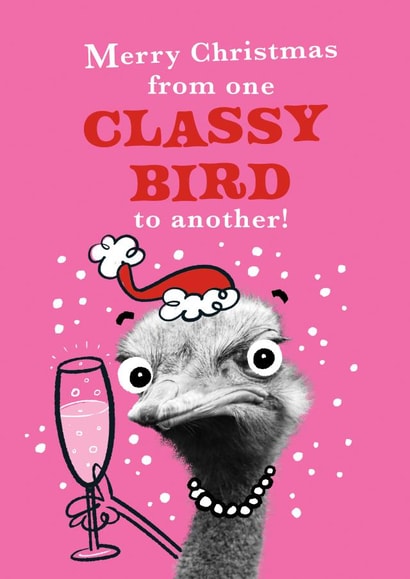 Funny Bird Classy Bird Friend Christmas Card created by Pink wink