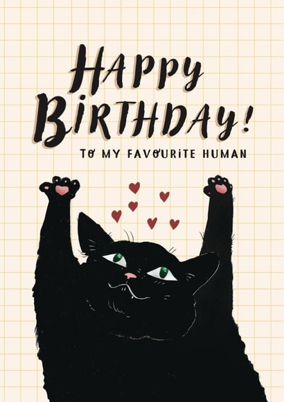 Happy birthday! to my favourite human- cute cat giving a hug created by Six bunny ears
