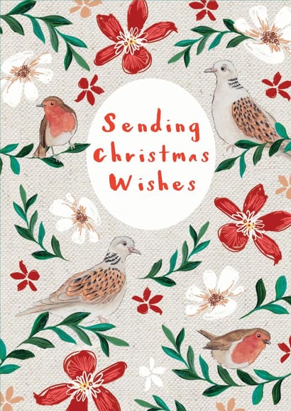 Beautiful Christmas birds - Cute Wildlife Robin and Dove watercolour and pattern created by Miss Meaney's