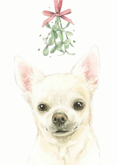 Chihuahua Mistletoe Christmas Card created by Robert James Hull