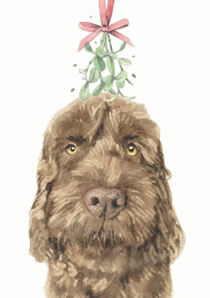 Chocolate Cockapoo Mistletoe Christmas Card created by Robert James Hull