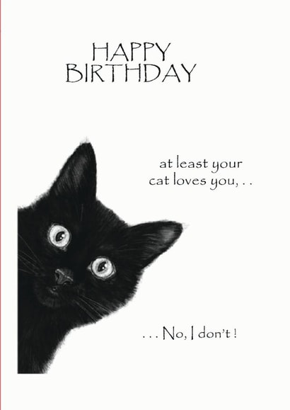 A cute cat card for your loved one on there birthday created by David Stringer ( STRINGS )