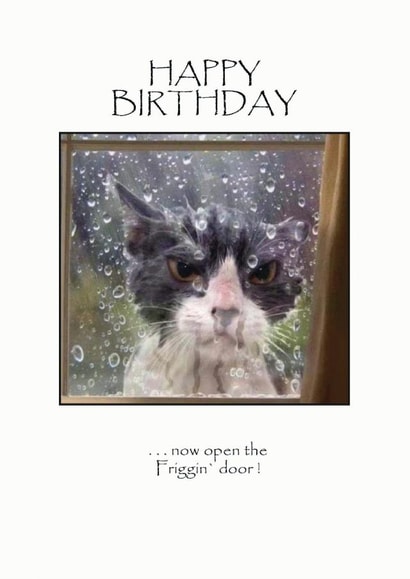 a cute cat card for your birthday BFF created by David Stringer ( STRINGS )