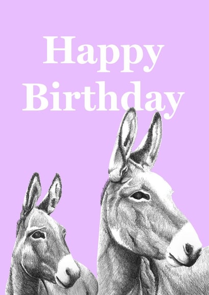 Birthday Donkeys created by CVMS