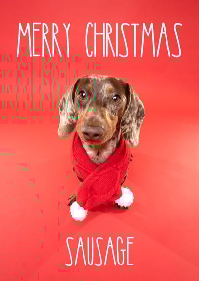 Merry Christmas Sausage Dog Dachshund Card created by The Yorkshire Pawtrait Co.
